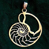 Nautilus jewelry pendant gold